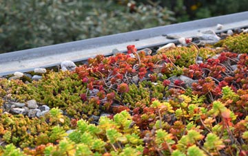 the cost of Hunsterson green roof installation
