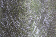 Hunsterson fibreglass roof work